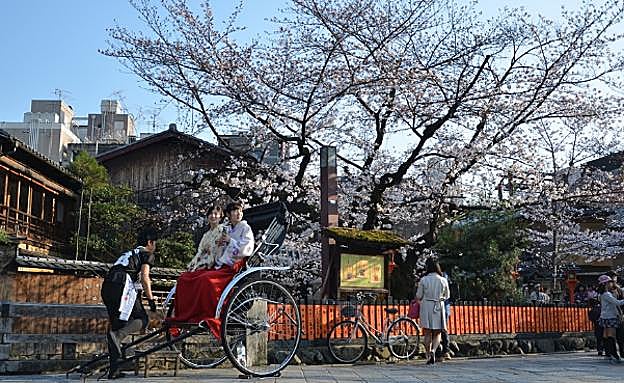 Primavera en Japón, el país se tiñe de rosa con la floración del 'sakura'