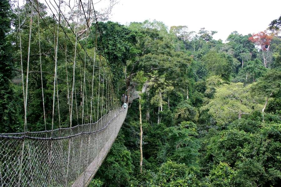 Puente colgante del Parque Nacional de Kakum (Ghana)