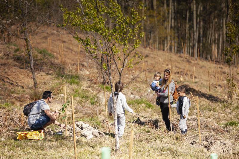 Multitud de niños y padres plantaron árboles en el bosque La Viesca la Olla durante una divertida mañana en conexión con la naturaleza.