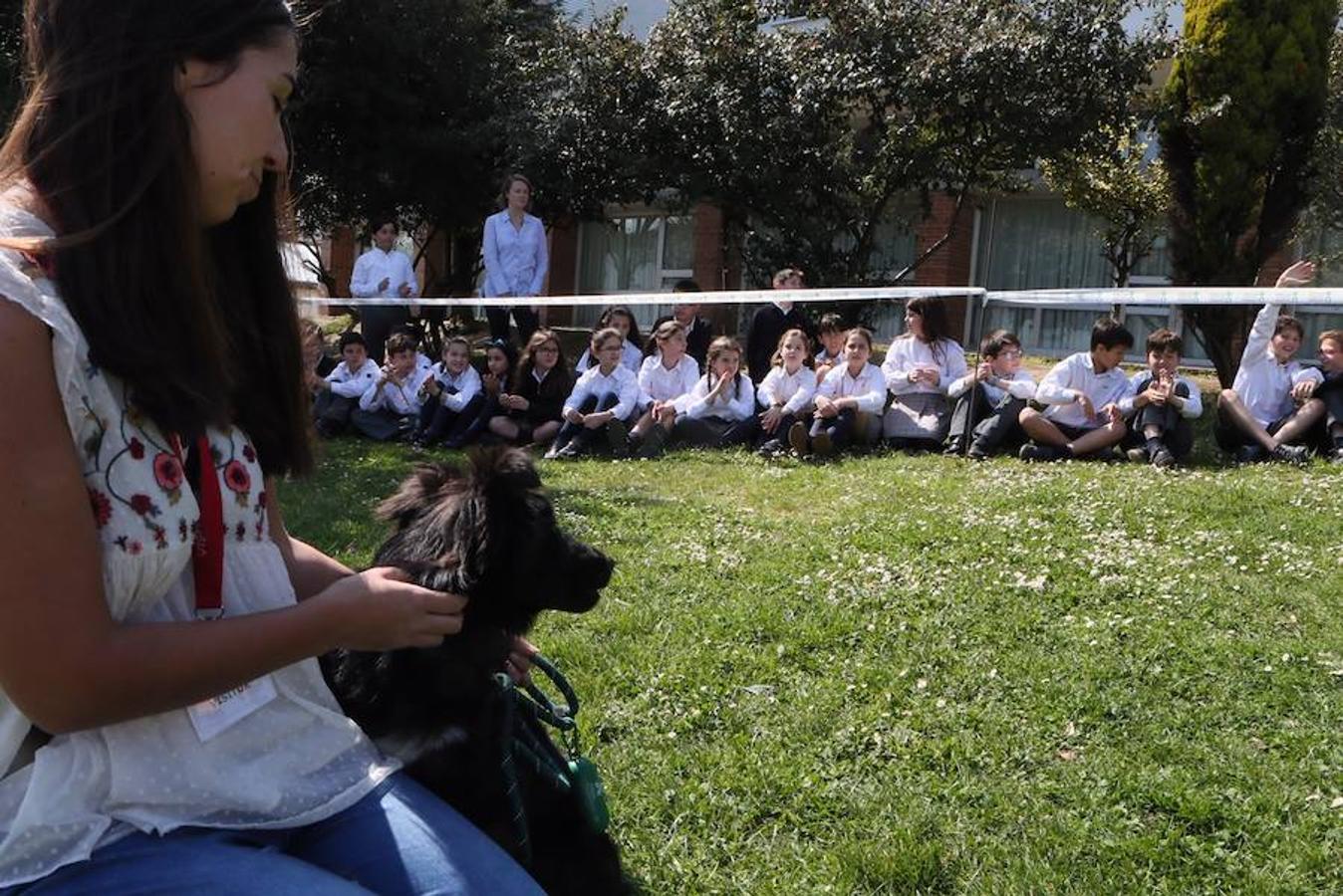 Los escolares del Palacio de Granda comparten experiencias con los perros. La importancia de darles otra oportunidad y estar con ellos en todo momento.