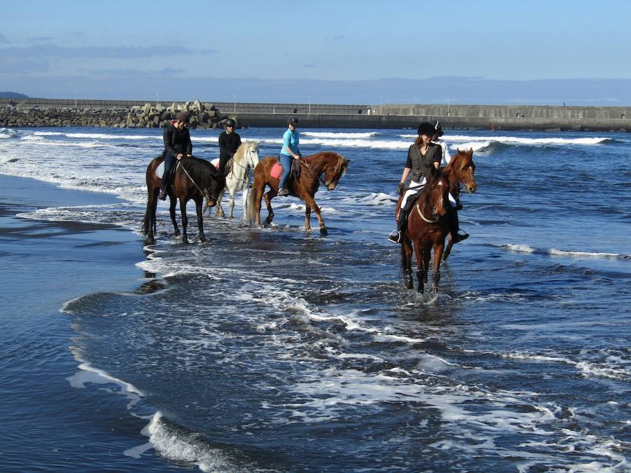 El tiempo primaveral invita a lanzarse a la aventura en plena naturaleza y, para ello, la región ofrece multitud de posibilidades para disfrutar en familia o con amigos de actividades al aire libre.