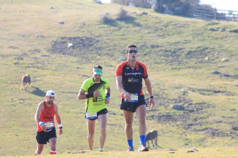 Unos 300 corredores se han enfrentado este domingo a la tradicional subida al Picu Pienzu (Arriondas), una prueba de 21,5 kilómetros y 2.500 metros de desnivel acumulado solo apta para valientes.