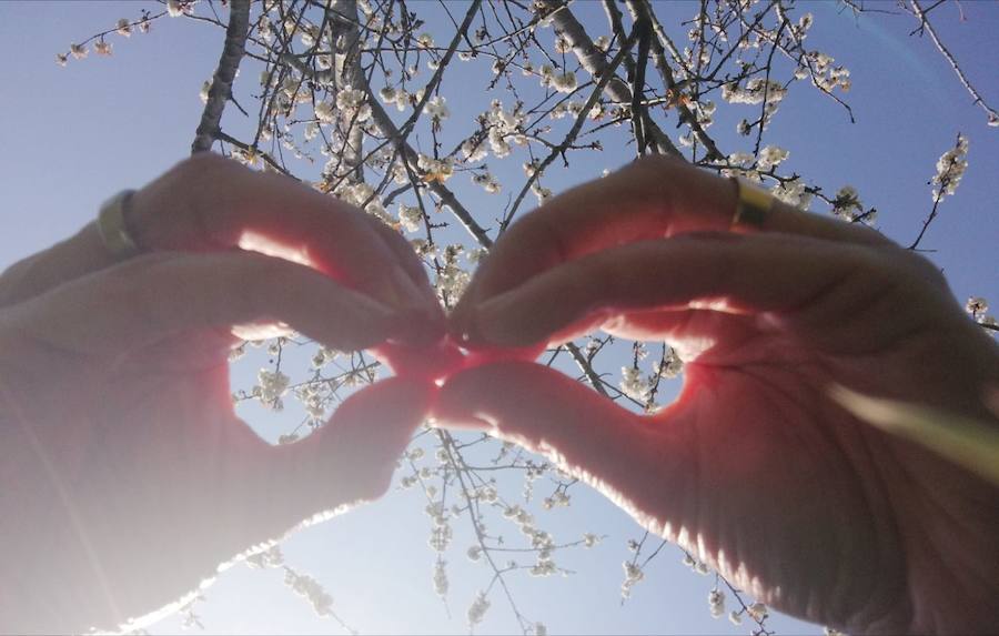 Dar visibilidad a los problemas a los que se enfrentan a diario quienes tienen autismo y sus familiares es el principal objetivo Día Mundial del Autismo, que se celebra este martes. Este fin de semana ya se celebraron varios actos, como el organizado por la Asociación de Familiares y Personas con Autismo (Adansi) en Oviedo. Y son muchos quienes se han sumado a esta campaña para reclamar más medios y apoyo. Colegios, universitarios, deportistas, guardias civiles y muchas más personas de todos los puntos de Asturias y del resto de España se han unido a esta iniciativa que tiene al signo del infinito como símbolo.
