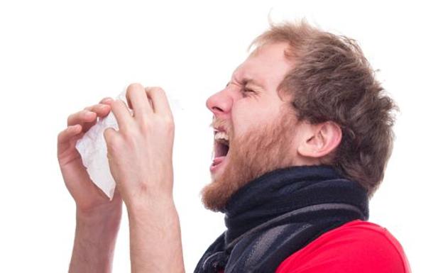 Alergias, lo que hay detrás de un estornudo