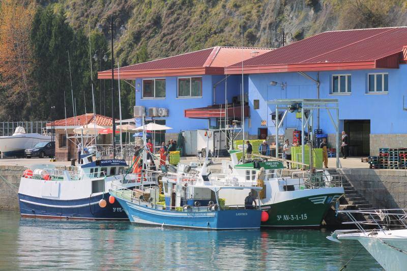 Cantabria amenaza con movilizarse para evitar un nuevo reparto de las cuotas. El puerto de Lastres presentaba mucha actividad este lunes, donde además de los barcos propios del puerto se han podido ver tambien lanchas de las comunidades vecinas de Cantabria y Galicia.