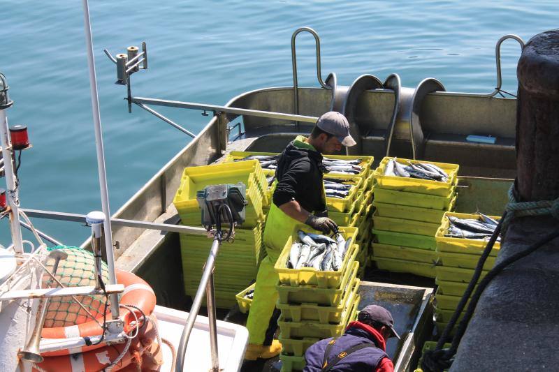 Cantabria amenaza con movilizarse para evitar un nuevo reparto de las cuotas. El puerto de Lastres presentaba mucha actividad este lunes, donde además de los barcos propios del puerto se han podido ver tambien lanchas de las comunidades vecinas de Cantabria y Galicia.