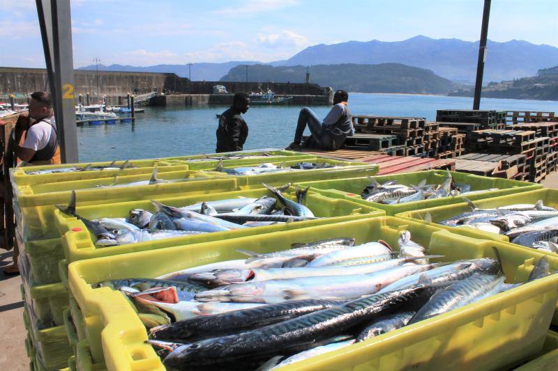 Cantabria amenaza con movilizarse para evitar un nuevo reparto de las cuotas. El puerto de Lastres presentaba mucha actividad este lunes, donde además de los barcos propios del puerto se han podido ver tambien lanchas de las comunidades vecinas de Cantabria y Galicia.