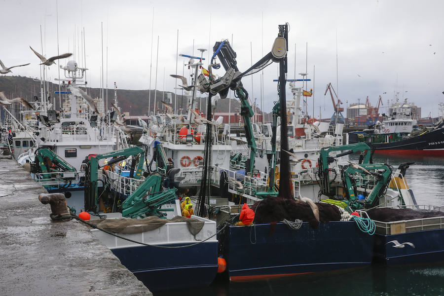 Una masa de aire procedente de Groenlandia ha devuelve las lluvias a Asturias y ha desplomado los termómetros. Además, ha situado la cota de nieve en torno a los 600 metros.