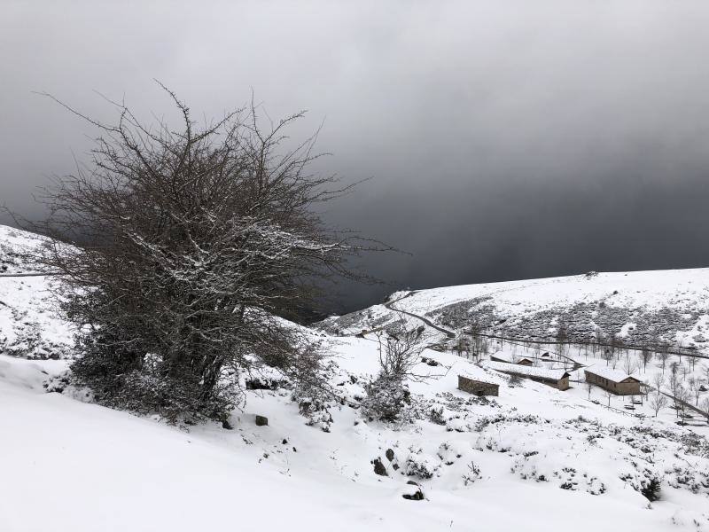 Una masa de aire procedente de Groenlandia ha devuelve las lluvias a Asturias y ha desplomado los termómetros. Además, ha situado la cota de nieve en torno a los 600 metros.