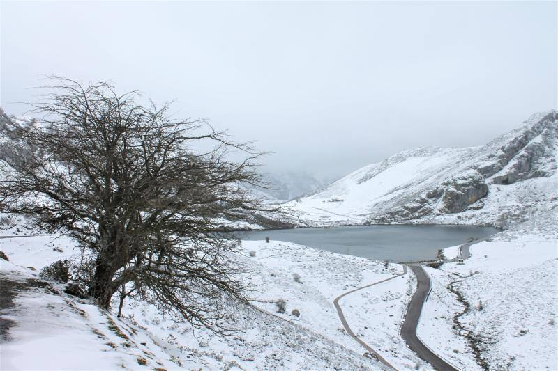 Una masa de aire procedente de Groenlandia ha devuelve las lluvias a Asturias y ha desplomado los termómetros. Además, ha situado la cota de nieve en torno a los 600 metros.