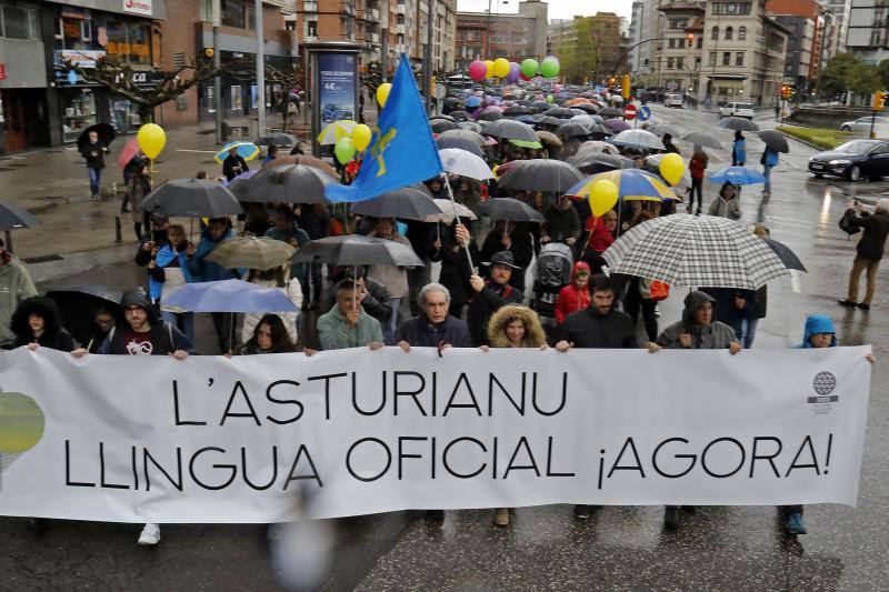 No pudo ser una cita «histórica», como esperaba la Xunta pola Defensa de la Llingua y la lluvia, «tan asturiana y tan primaveral», que llegó a caer a mares, fue la culpable de reducir la cifra de asistentes hasta las 2.000 personas.