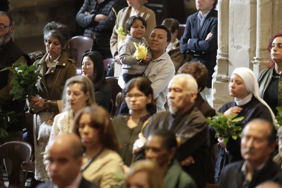 Bendición de los ramos en la Catedral de Oviedo.