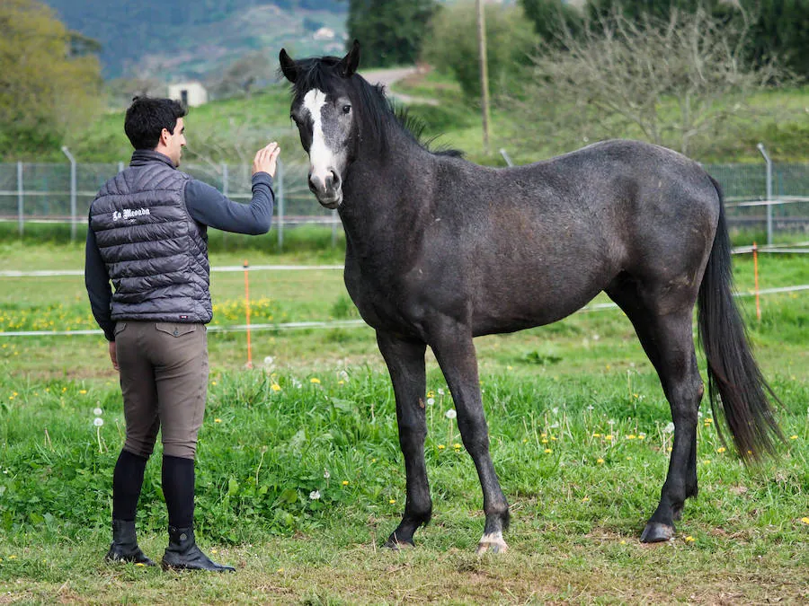 La Mesada