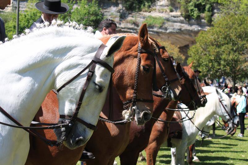 Los vecinos de la localidad del Oriente recorrieron las calles a caballo y ataviados con los mejores trajes flamencos.