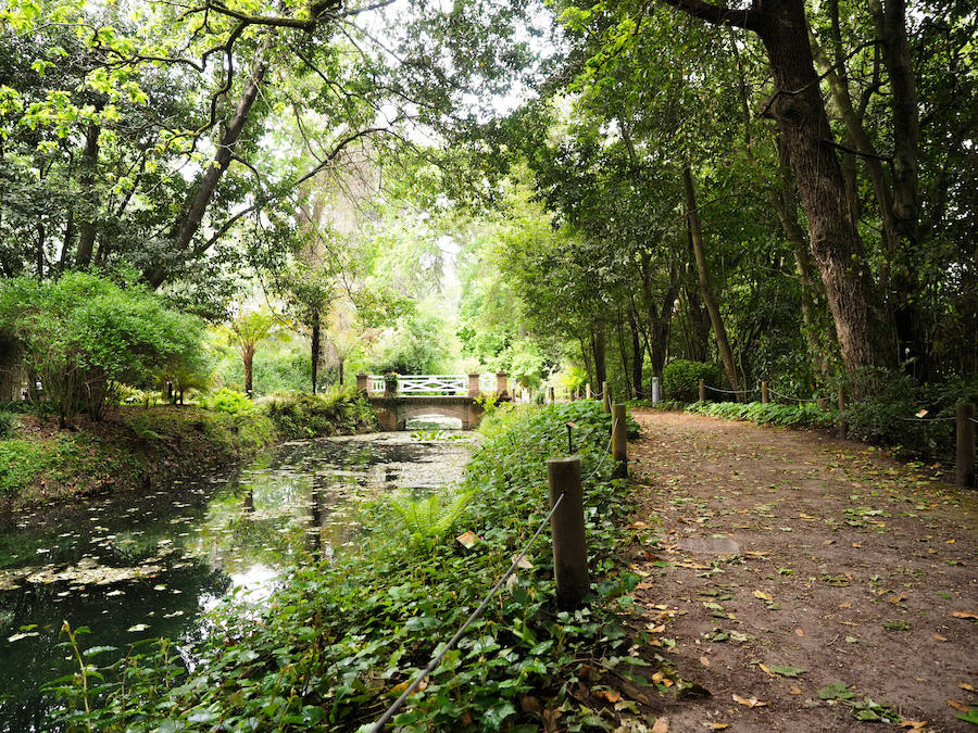 Precioso estanque situado en el entorno de La Isla, un área que se extiende por unos 40.000 metros cuadrados y en la que, además de este estanque y otros, se encuentra la laguna de 1.300 metros cuadrados. 