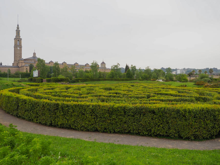 El Laberinto de Laurel del Jardín Botánico representa un área de diversión y de aprendizaje. Adentrarse en su interior es toda una experiencia para el visitante. 