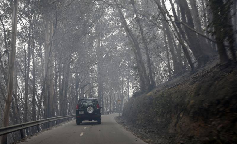 El incendio que afectó a los concejos de Candamo, Grado y Salas provocó una densa nube de humo que cubrió gran parte del centro de Asturias.