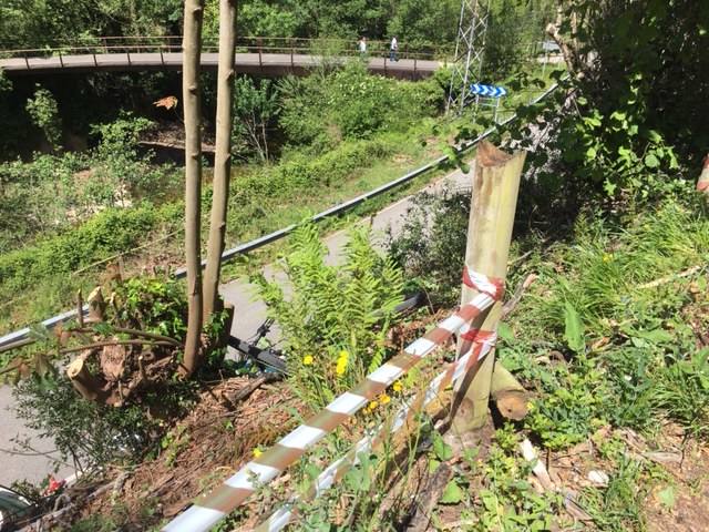 Un ciclista ha perdido la vida en un accidente en la Senda del Oso, en Proaza. El hombre se precipitó desde una altura de unos veinte metros sobre la carretera AS-228. 