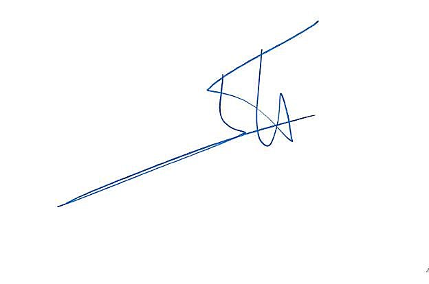 Un trazo rápido, reflejo de «un carácter nervioso»