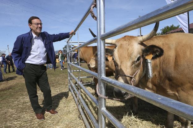 Juan Vázquez, en la Feria de San Isidro de Llanera. 