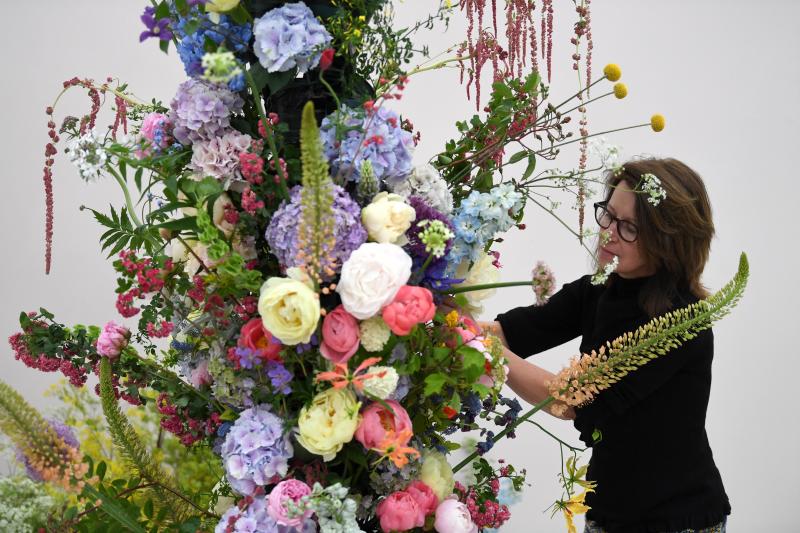Ni la Reina de Inglaterra ha querido perderse el gran espectáculo del festival de flores y jardines más importante del mundo, que se celebra en la localidad británica de Chelsea. Impulsado en 1913 por la Real Sociedad de Horticultura, cuenta con más de 500 expositores y cada año supera los 160.000 visitantes. 