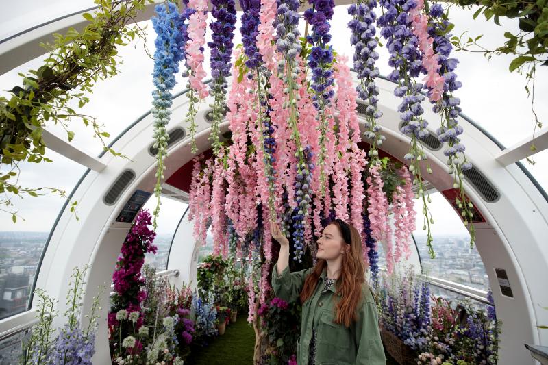 Ni la Reina de Inglaterra ha querido perderse el gran espectáculo del festival de flores y jardines más importante del mundo, que se celebra en la localidad británica de Chelsea. Impulsado en 1913 por la Real Sociedad de Horticultura, cuenta con más de 500 expositores y cada año supera los 160.000 visitantes. 