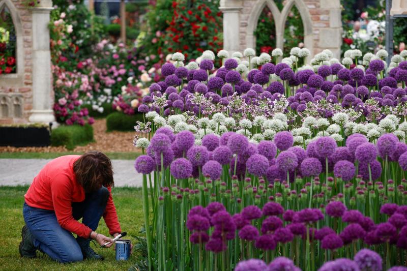 Ni la Reina de Inglaterra ha querido perderse el gran espectáculo del festival de flores y jardines más importante del mundo, que se celebra en la localidad británica de Chelsea. Impulsado en 1913 por la Real Sociedad de Horticultura, cuenta con más de 500 expositores y cada año supera los 160.000 visitantes. 