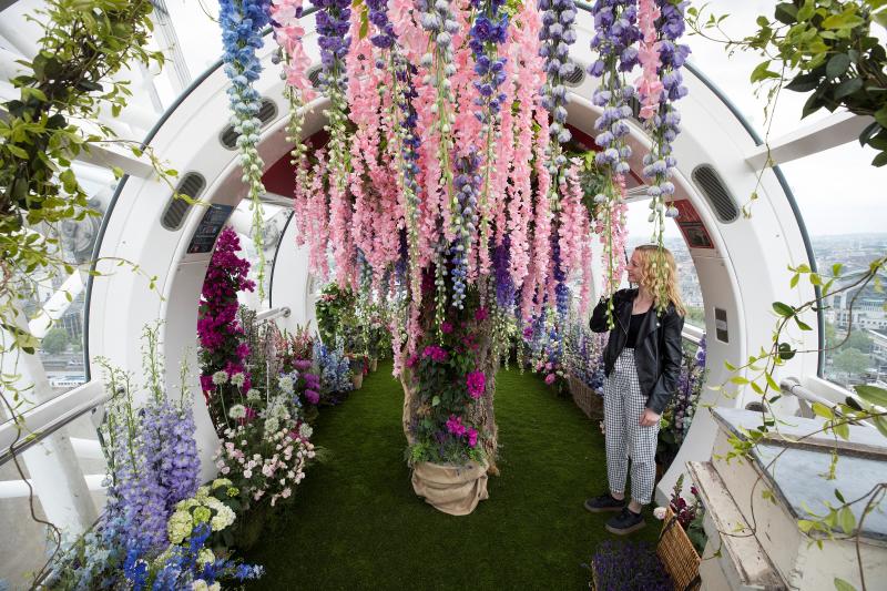 Ni la Reina de Inglaterra ha querido perderse el gran espectáculo del festival de flores y jardines más importante del mundo, que se celebra en la localidad británica de Chelsea. Impulsado en 1913 por la Real Sociedad de Horticultura, cuenta con más de 500 expositores y cada año supera los 160.000 visitantes. 