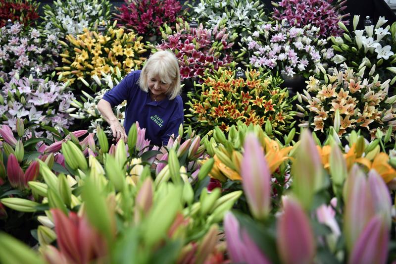 Ni la Reina de Inglaterra ha querido perderse el gran espectáculo del festival de flores y jardines más importante del mundo, que se celebra en la localidad británica de Chelsea. Impulsado en 1913 por la Real Sociedad de Horticultura, cuenta con más de 500 expositores y cada año supera los 160.000 visitantes. 