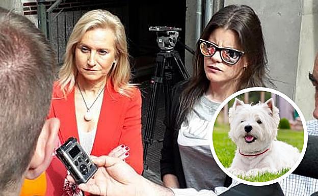 Batalla por la custodia del perro tras la separación