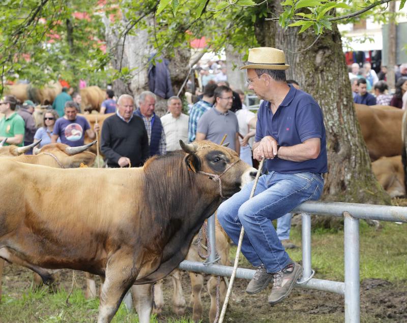 La localidad canguesa de Corao ha vuelto a ser el referente del sector ganadero de Asturias, con una feria en la que se han dado cita más de 3.000 reses. Las ventas alcanzaron el 80%.