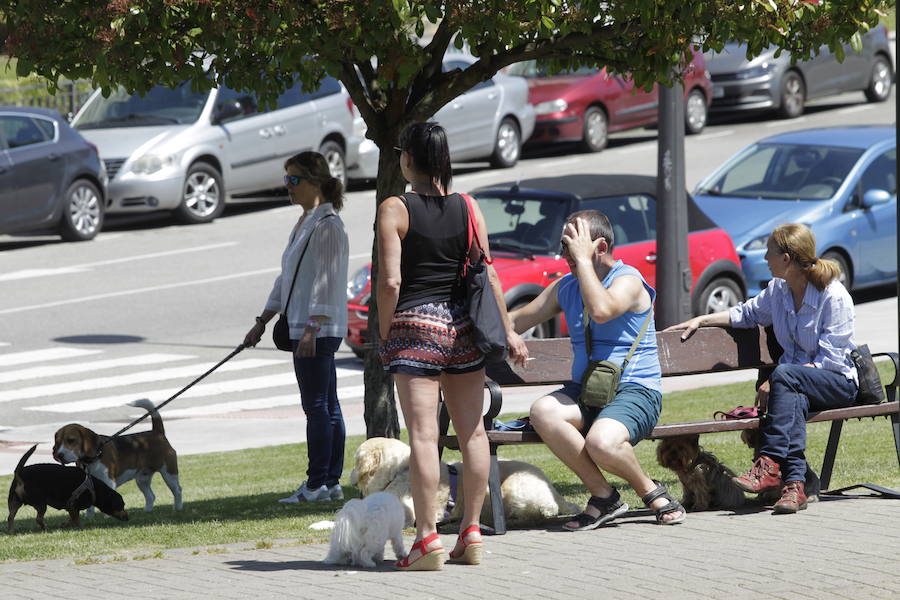 Los cielos despejados y las temperaturas, que han subido notablemente, invitando a los asturianos a disfrutar del aire libre. Las previsiones veraniegas se prolongarán hasta el domingo. 