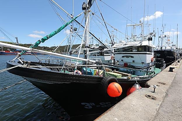 Los barcos, preparados en el muelle pesquero para la descarga esta madrugada del bonito de sus bodegas. 