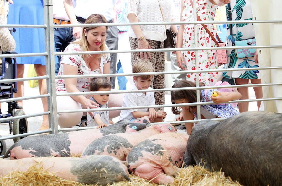 El alcalde en funciones, Wenceslao López, destacó este domingo el éxito de la feria de La Ascensión que se ha celebrado durante el fin de semana en diversos escenarios de la ciudad