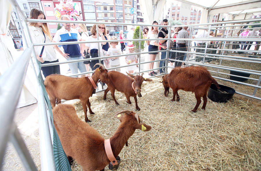 El alcalde en funciones, Wenceslao López, destacó este domingo el éxito de la feria de La Ascensión que se ha celebrado durante el fin de semana en diversos escenarios de la ciudad
