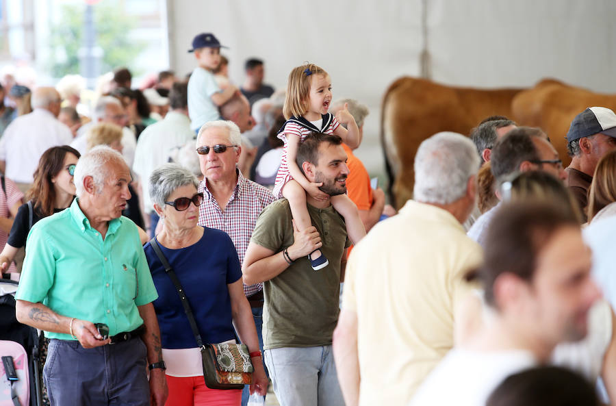 El alcalde en funciones, Wenceslao López, destacó este domingo el éxito de la feria de La Ascensión que se ha celebrado durante el fin de semana en diversos escenarios de la ciudad