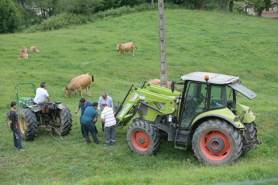 Un hombre de 77 años ha fallecido al volcar con el tractor que conducía en Coalla, en el concejo de Grado. 