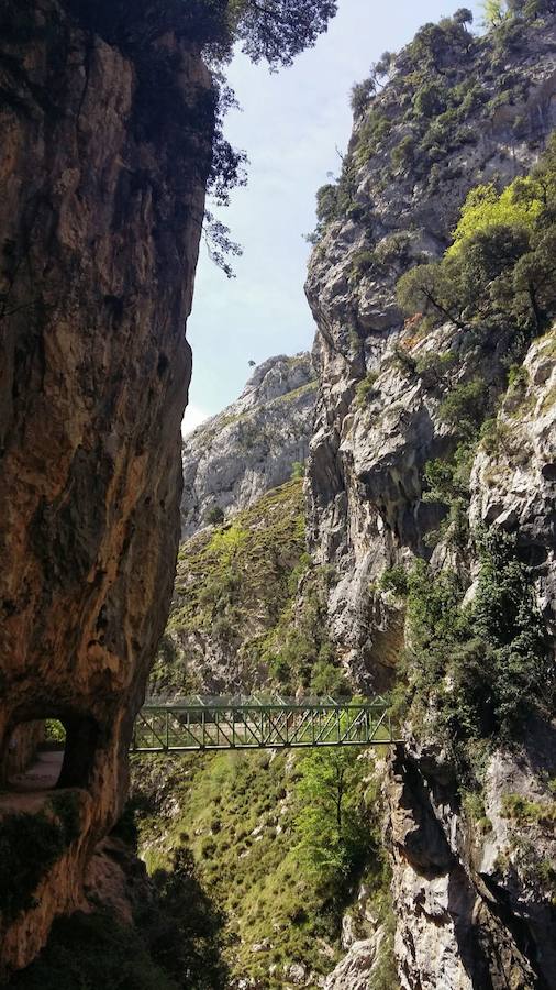 Unas espectaculares imágenes que reflejan a la perfección la belleza de esta senda que discurre a través de los Picos de Europa.