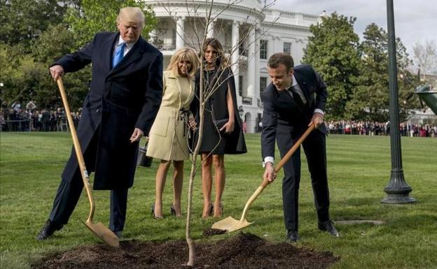 Trump y Macron durante la plantación del árbol hace un año.