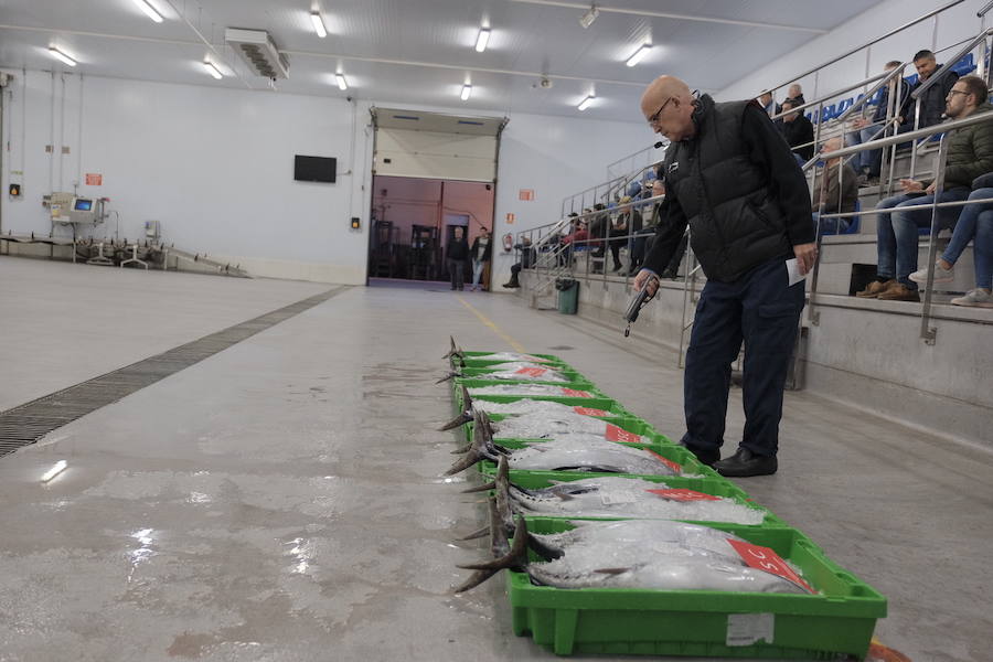 La Lonja comienza hoy la temporada de bonito con al subasta de 7.000 kilos del Atlántico
