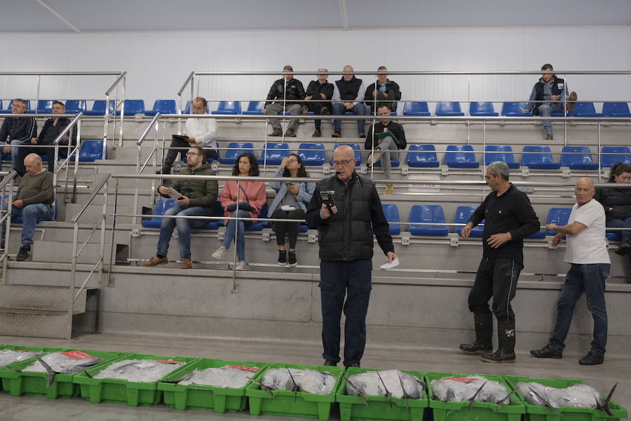 La Lonja comienza hoy la temporada de bonito con al subasta de 7.000 kilos del Atlántico