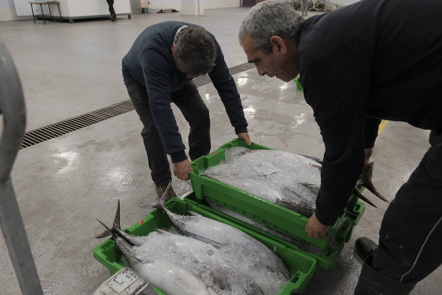 La Lonja comienza hoy la temporada de bonito con al subasta de 7.000 kilos del Atlántico