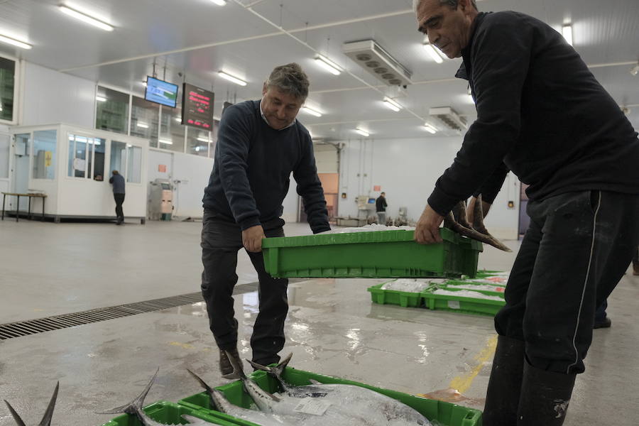 La Lonja comienza hoy la temporada de bonito con al subasta de 7.000 kilos del Atlántico