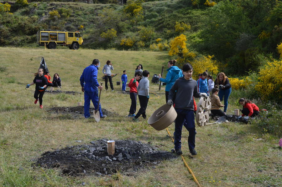 Los 42 alumnos del CRA Río Cibea han plantado esta mañana más de 20 castaños y abedules en la antigua escombrera de la mina de Carballo para «tener bosques más bonitos». El centro pretende concienciar a los más jóvenes sobre la importancia de conservar el medio natural en un espacio protegido como el parque de Fuentes del Narcea, Degaña e Ibias.