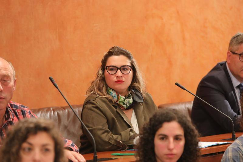 La alcaldesa revalida su cargo en un pleno en el que todos los grupos mostraron su disposición a trabajar por la ciudad.