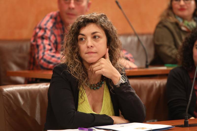 La alcaldesa revalida su cargo en un pleno en el que todos los grupos mostraron su disposición a trabajar por la ciudad.