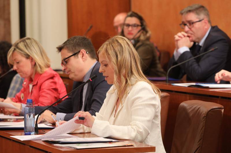 La alcaldesa revalida su cargo en un pleno en el que todos los grupos mostraron su disposición a trabajar por la ciudad.