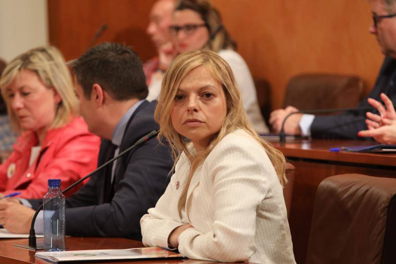 La alcaldesa revalida su cargo en un pleno en el que todos los grupos mostraron su disposición a trabajar por la ciudad.