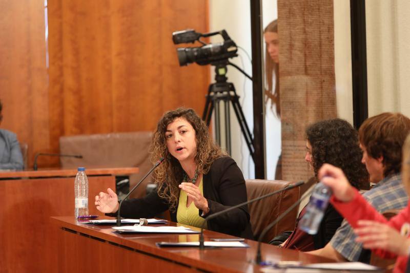 La alcaldesa revalida su cargo en un pleno en el que todos los grupos mostraron su disposición a trabajar por la ciudad.