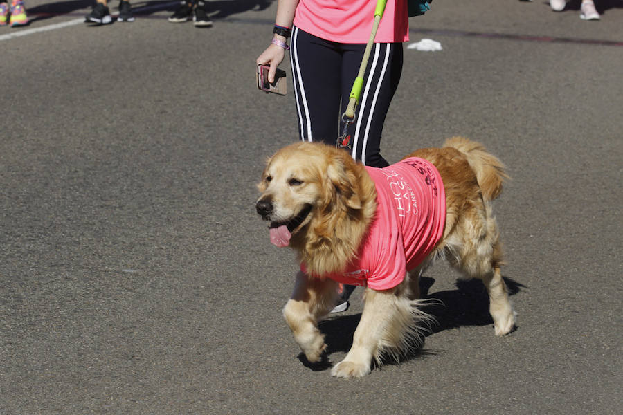 Fotos: ¿Estuviste en la Carrera de la Mujer de Gijón? ¡Búscate! (2)